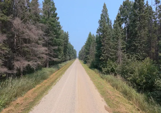 1st image of Tbd 120 Acres Sunflower Rd Ne, Kelliher, MN 56650 | MLS# 6766143