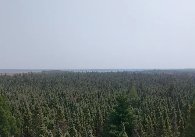 3rd image of Tbd 120 Acres Sunflower Rd Ne, Kelliher, MN 56650 | MLS# 6766143