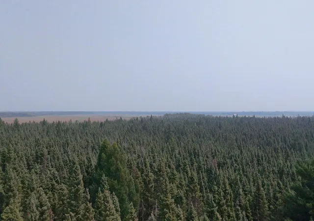 4th image of Tbd 120 Acres Sunflower Rd Ne, Kelliher, MN 56650 | MLS# 6766143