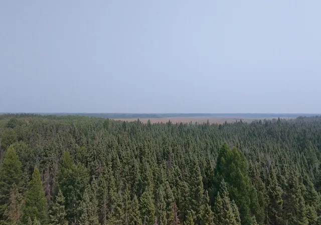 5th image of Tbd 120 Acres Sunflower Rd Ne, Kelliher, MN 56650 | MLS# 6766143