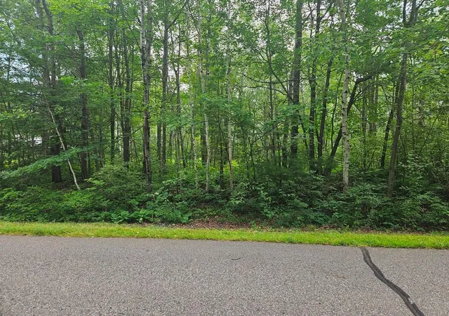 Homes for sale in Grand Rapids, MN | Lot 3 Blk 2 Sw 1St Ave, Grand Rapids, MN 55744 | MLS# 6767179
