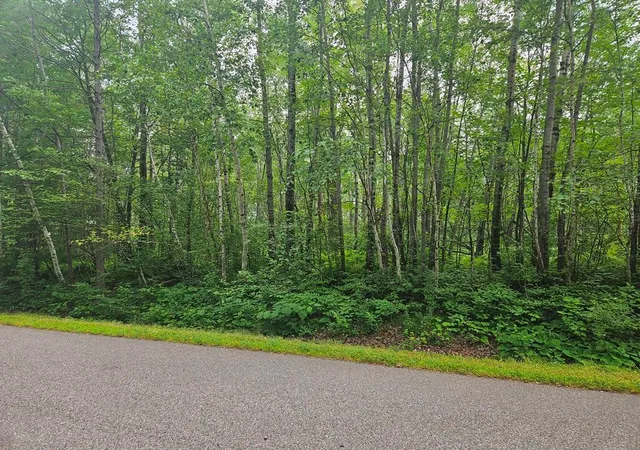Homes for sale in Grand Rapids, MN | Lot 3 Blk 2 Sw 1St Ave, Grand Rapids, MN 55744 | MLS# 6767179