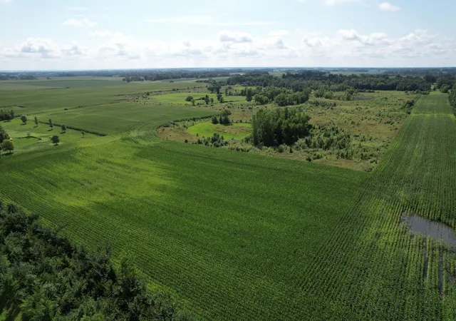 30th image of 10xxx County Road 50, Cologne, MN 55322 | MLS# 6774682