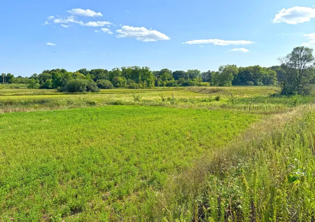 22nd image of 7581 Lake John Dr, Annandale, MN 55302 | MLS# 6775663