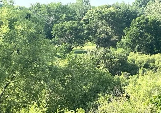 Photo 3 of Land for sale at 113 Par Dr, Albany, MN 56307 | MLS# 6776777 | Listing updated on 2026-08-17