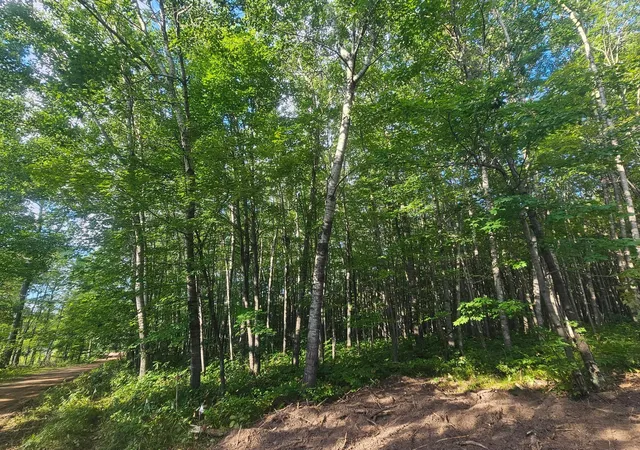 Photo 1 of Land for sale at Lot 1 Ken Can Ln, Webster, WI 54893 | MLS# 6779102 | Listing updated on 2026-08-27