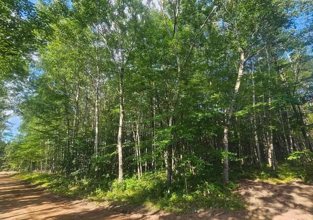 Photo 3 of Land for sale at Lot 1 Ken Can Ln, Webster, WI 54893 | MLS# 6779102 | Listing updated on 2026-08-27