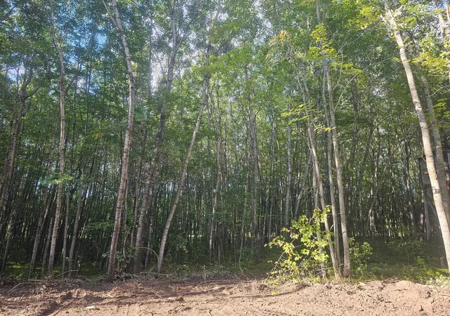 Photo 1 of Land for sale at Lot 2 County Road A, Webster, WI 54893 | MLS# 6779290 | Listing updated on 2026-08-28