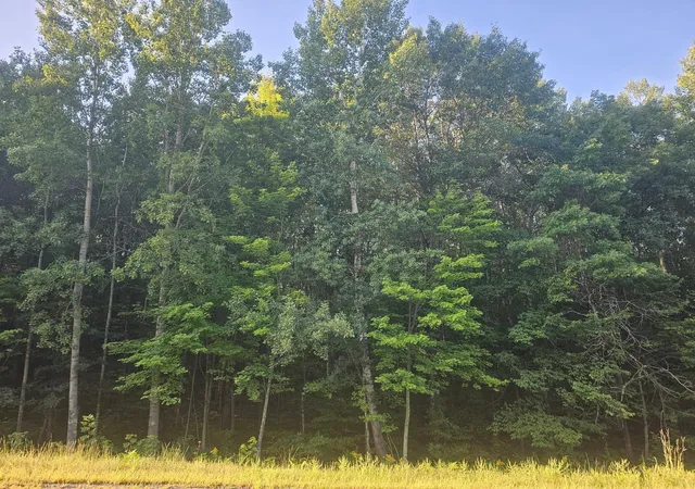 Photo 3 of Land for sale at Lot 2 County Road A, Webster, WI 54893 | MLS# 6779290 | Listing updated on 2026-08-28