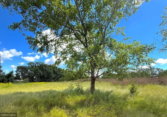 Homes for sale in Clearwater, MN | 7xx County Road 143, Clearwater, MN 55320 | MLS# 6779733