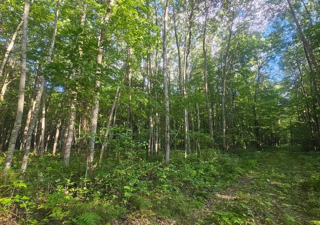 Photo 1 of Land for sale at Lot 3 Ken Can Ln, Webster, WI 54893 | MLS# 6779914 | Listing updated on 2026-08-27