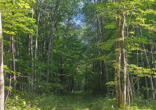 Photo 3 of Land for sale at Lot 3 Ken Can Ln, Webster, WI 54893 | MLS# 6779914 | Listing updated on 2026-08-27