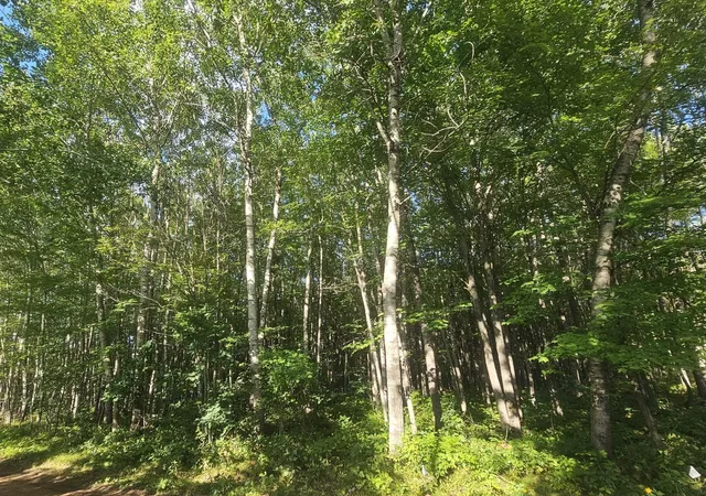Photo 1 of Land for sale at Lot 4 Ken Can Ln, Webster, WI 54893 | MLS# 6780137 | Listing updated on 2026-08-27