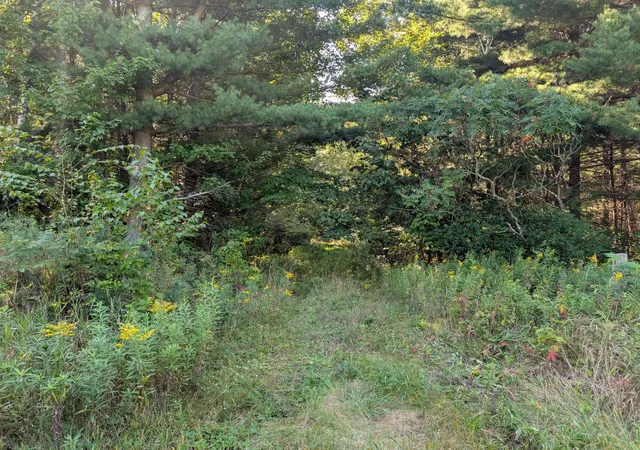 2nd image of Tba 40th, Clayton, WI 54004 | MLS# 6780197