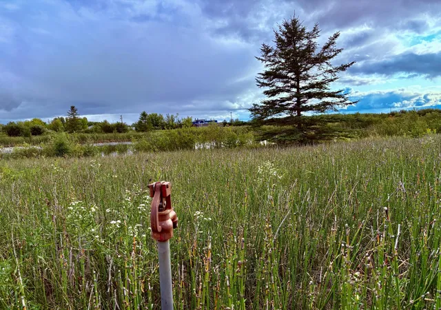 Photo 1 of Land for sale at Tbd 7th Street Sw, Baudette, MN 56623 | MLS# 6782505 | Listing updated on 2026-08-26