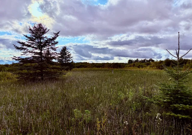 Photo 3 of Land for sale at Tbd 7th Street SW, Baudette, MN 56623 | MLS# 6782505 | Listing updated on 2026-08-26