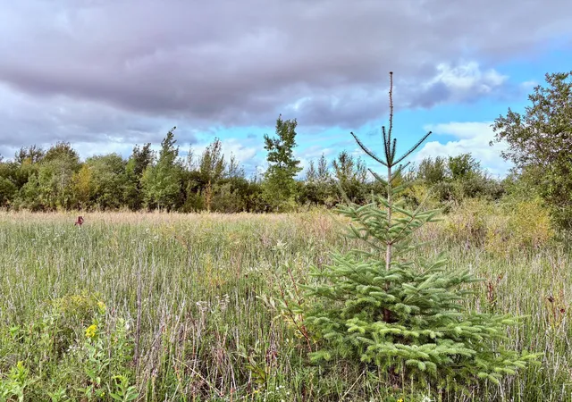 Photo 4 of Land for sale at Tbd 7th Street SW, Baudette, MN 56623 | MLS# 6782505 | Listing updated on 2026-08-26