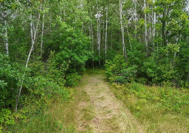 2nd image of 5415 Park Preserve Trl Ne, Bemidji, MN 56601 | MLS# 6782715