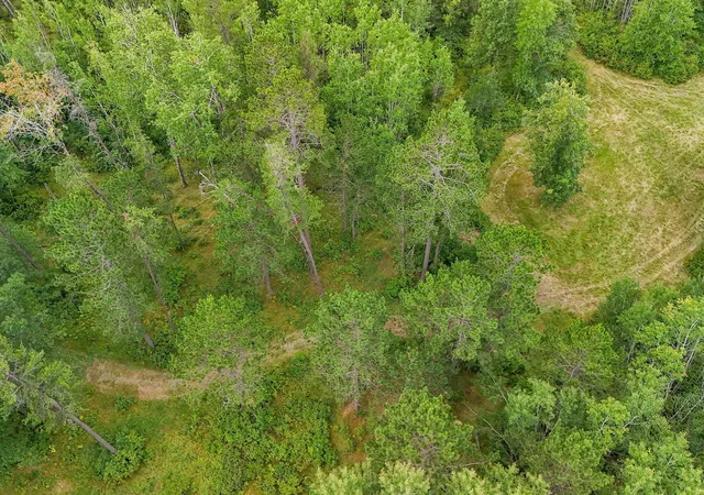 4th image of 5415 Park Preserve Trl Ne, Bemidji, MN 56601 | MLS# 6782715