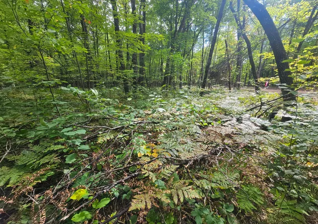 Photo 1 of Land for sale at Lot 5 County Road A, Webster, WI 54893 | MLS# 6785142 | Listing updated on 2026-08-27