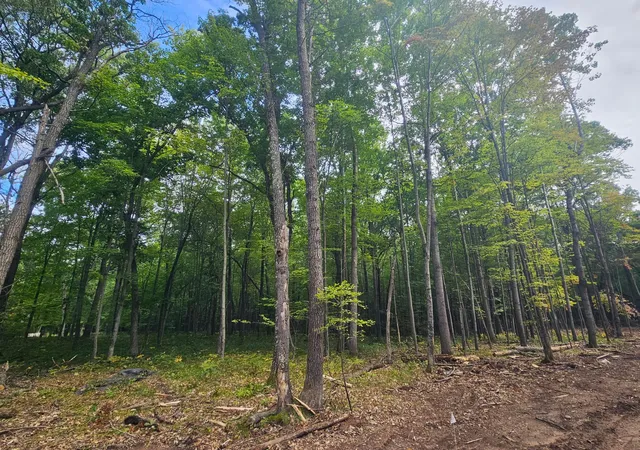 Photo 3 of Land for sale at Lot 5 County Road A, Webster, WI 54893 | MLS# 6785142 | Listing updated on 2026-08-27