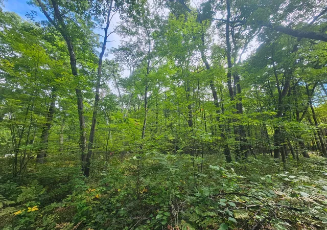 Photo 3 of Land for sale at Lot 5 County Road A, Webster, WI 54893 | MLS# 6785142 | Listing updated on 2026-08-27