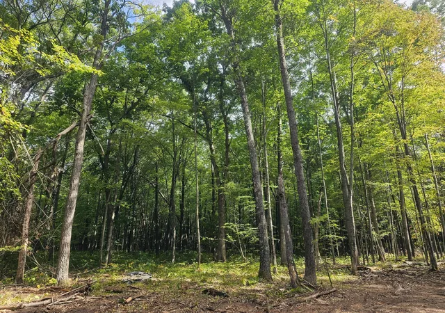 Photo 4 of Land for sale at Lot 5 County Road A, Webster, WI 54893 | MLS# 6785142 | Listing updated on 2026-08-27