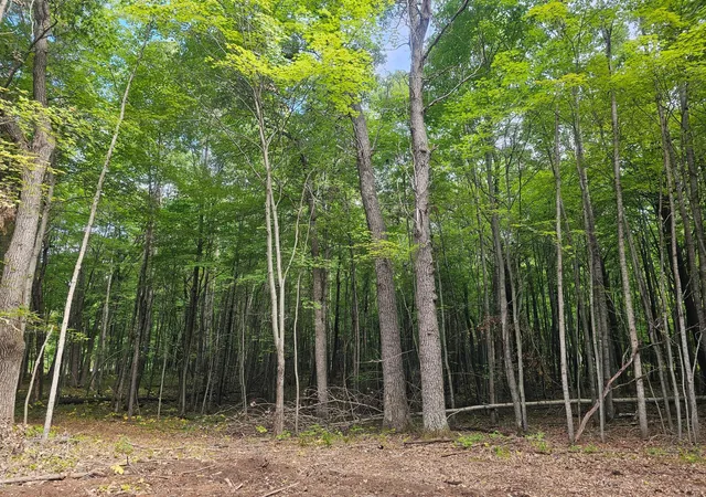 Photo 1 of Land for sale at Lot 6 Ken Can Ln, Webster, WI 54893 | MLS# 6785373 | Listing updated on 2026-08-27