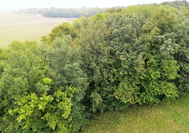 Photo 4 of Land for sale at L2 B2 83rd St NE, Spicer, MN 56288 | MLS# 6785749 | Listing updated on 2026-10-07