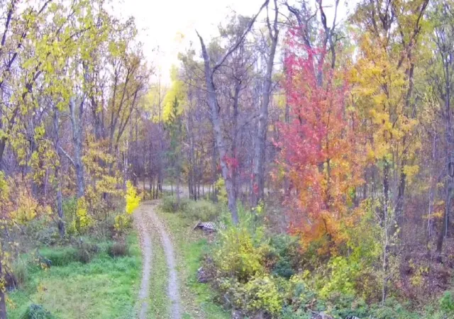 3rd image of 47802 Xylophone Rd, Garrison, MN 56450 | MLS# 6785783