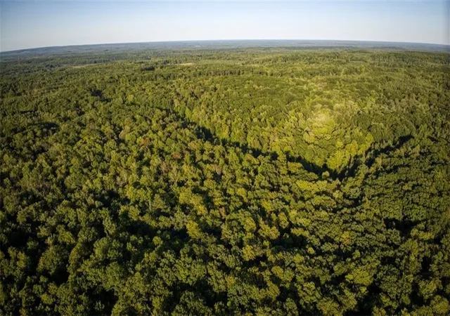 Homes for sale in Exeland, WI | 2351 Acres County Hwy C & Comet Rd Acres County, Exeland, WI 54835 | MLS# 6786199