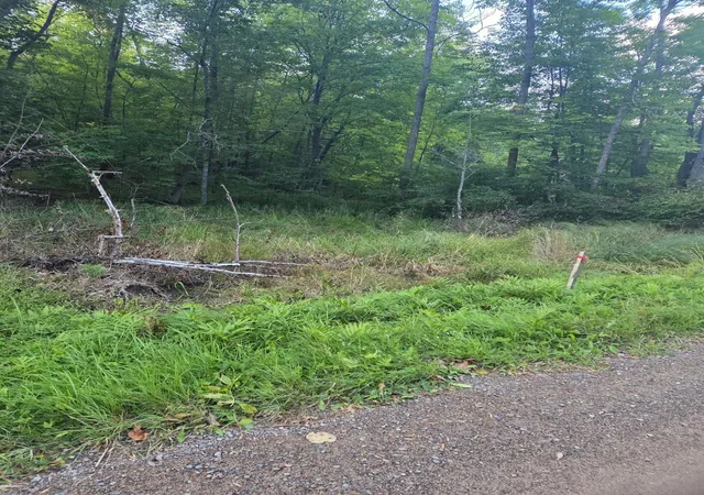 3rd image of Tbd 484Th Street, Mc Gregor, MN 55760 | MLS# 6786401