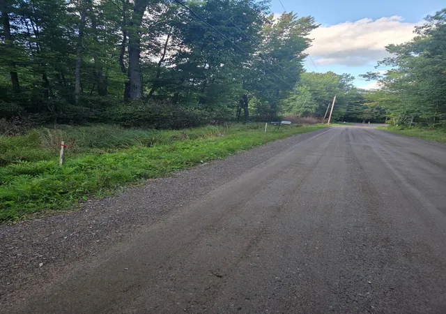 5th image of Tbd 484Th Street, Mc Gregor, MN 55760 | MLS# 6786401