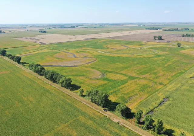 Photo 1 of Land for sale at Tbd County 8, Campbell, MN 56522 | MLS# 6788004 | Listing updated on 2026-08-31