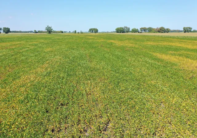 Photo 3 of Land for sale at Tbd County 8, Campbell, MN 56522 | MLS# 6788004 | Listing updated on 2026-08-31