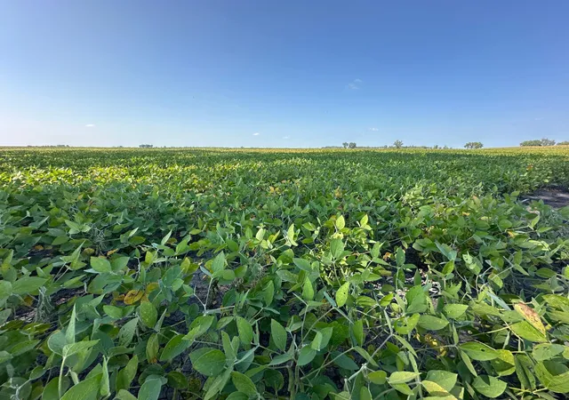 Photo 3 of Land for sale at Tbd County 8, Campbell, MN 56522 | MLS# 6788004 | Listing updated on 2026-08-31