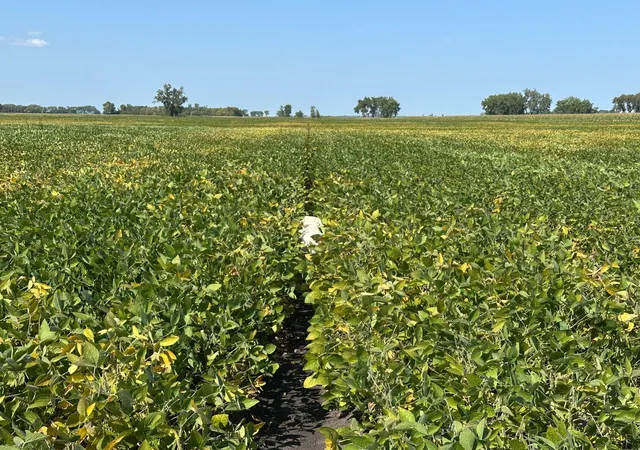 Photo 4 of Land for sale at Tbd County 8, Campbell, MN 56522 | MLS# 6788004 | Listing updated on 2026-08-31