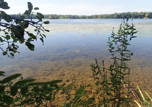 2nd image of Tbd85 County Road 106, Monticello, MN 55362 | MLS# 6789817