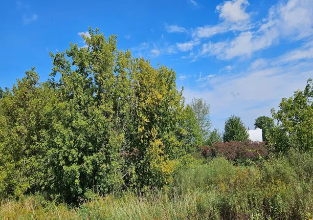 3rd image of Xxxx Hwy 70, Rock Creek, MN 55063 | MLS# 6789881