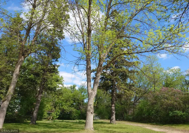 2nd image of 417 Park St, Alexandria, MN 56308 | MLS# 6790862