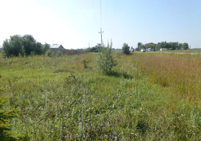 Homes for sale in Glyndon, MN | 6655 Us 10 Hwy W, Glyndon, MN 56547 | MLS# 6793842