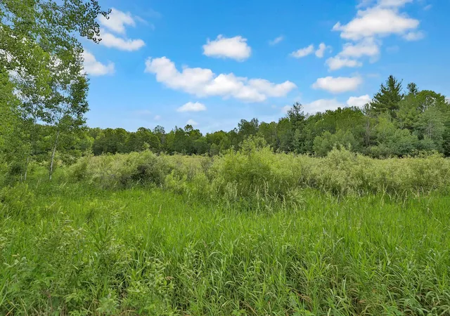 Photo 3 of Land for sale at 374xx N40 Hemingway, North Branch, MN 55056 | MLS# 6793981 | Listing updated on 2026-09-01
