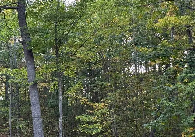 2nd image of 000 Old Hwy 2, Iron River, WI 54847 | MLS# 6794001
