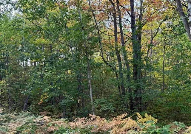 3rd image of 000 Old Hwy 2, Iron River, WI 54847 | MLS# 6794001