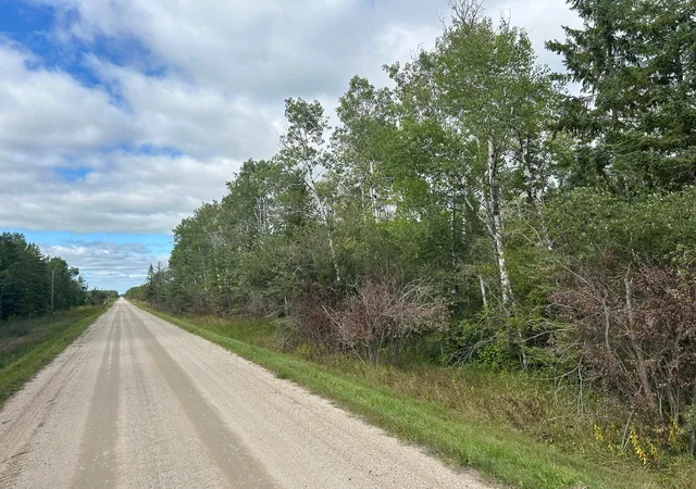 Homes for sale in Roseau, MN | Tbd 340Th Ave, Roseau, MN 56751 | MLS# 6794374
