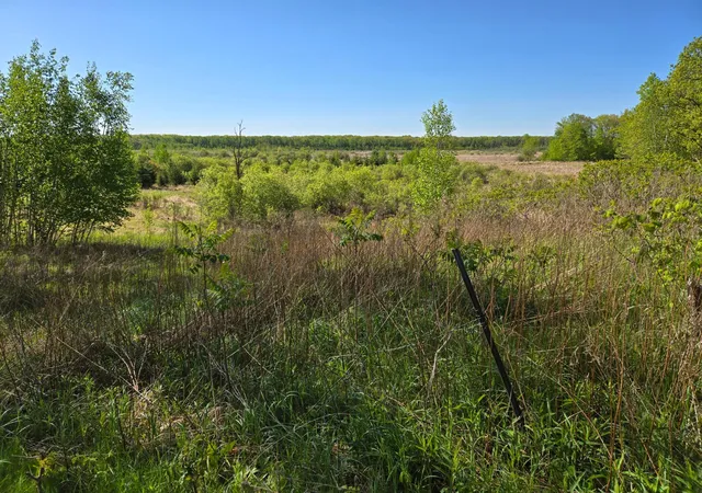 Homes for sale in Onamia, MN | Xxxxx 360Th St, Onamia, MN 56359 | MLS# 6794513