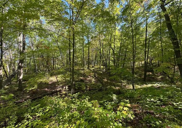13th image of Tbd Kego Lake Rd, Fifty Lakes, MN 56448 | MLS# 6794584
