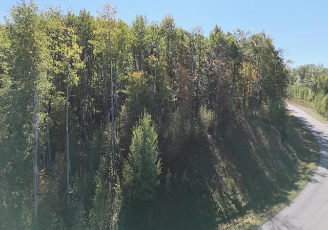 5th image of Tbd Kego Lake Rd, Fifty Lakes, MN 56448 | MLS# 6794584
