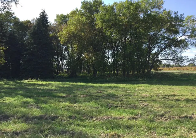 Homes for sale in Canby, MN | 2029 210Th Ave, Canby, MN 56220 | MLS# 6794935