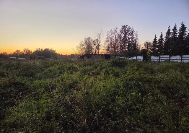 1st image of 36101 Pincherry Rd, Cohasset, MN 55721 | MLS# 6795163